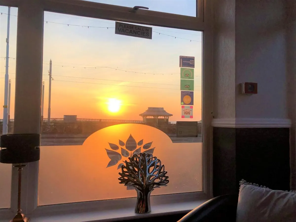 The Fossil Tree Hotel Blackpool